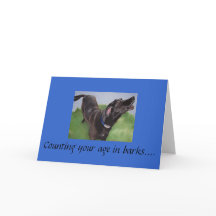 013, contando sua idade em latidos...