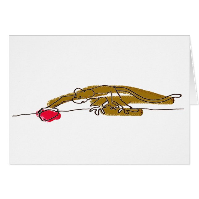 Cartão 01 da excursão de livro do poster da tau de (Frente horizontal)