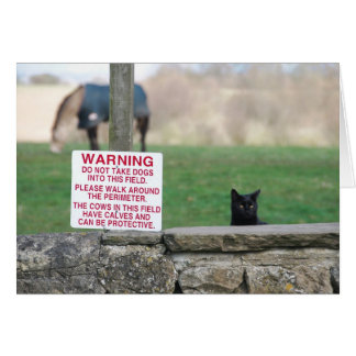 Cartão 020409CãesFarm260