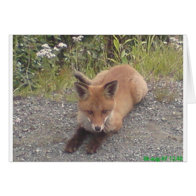 CARTÃO 033.JPG (Frente Horizontal)