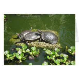 CARTÃO 03-21-10 246