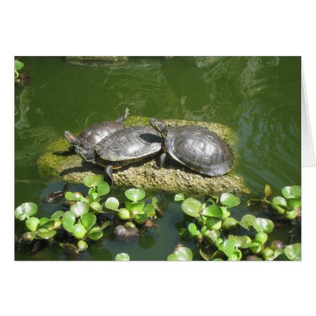 CARTÃO 03-21-10 246 (Frente horizontal)