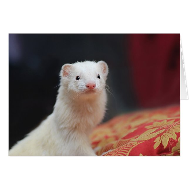 CARTÃO 040 (Frente Horizontal)