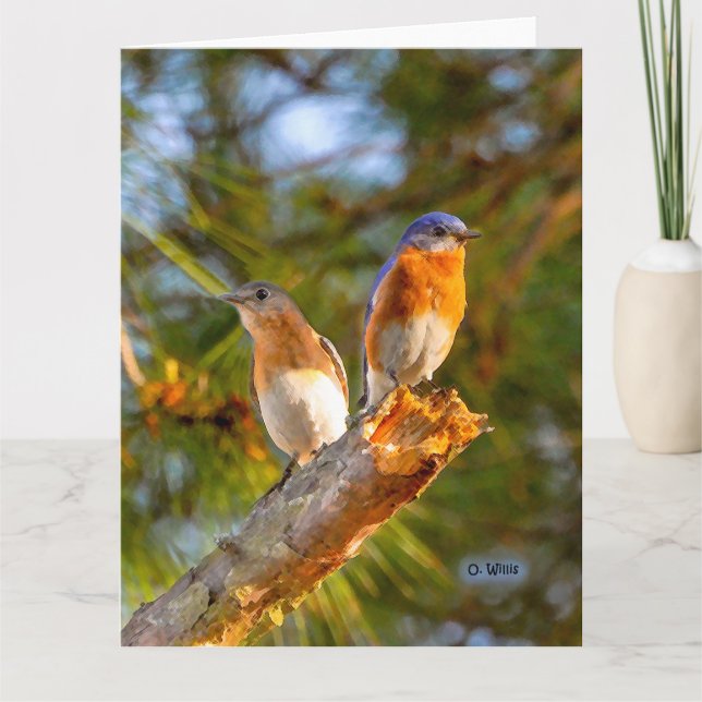 Cartão 040 Bluebird Courtship Big Card 8.5x11 Matte (Frente)