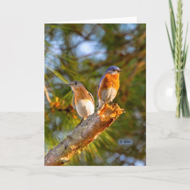 Cartão 040 Bluebird Courtship Card 5x7 Matte (Frente)