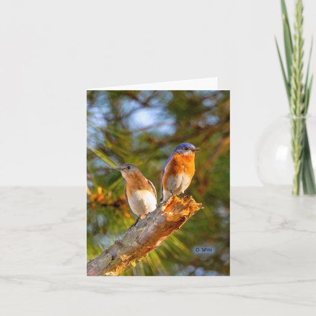 Cartão 040 Bluebird Courtship Note Card 4.25x5.5 Matte (Frente)