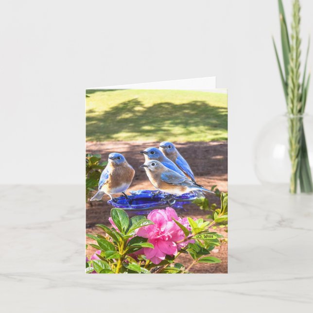 Cartão 050 Bluebirds Forever Note Card 4.25x5.5 Matte (Frente)