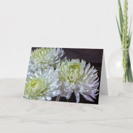 Cartão 0921-White Spider Mãe