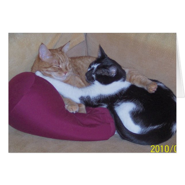 CARTÃO 100.1102 (Frente Horizontal)