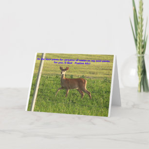 Cartão 100_3149, como as calças de veado para riachos de