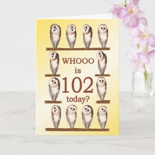 Cartão 102nd Birthday, Curious Owls