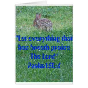 Cartão 105:6 do salmo, bichos