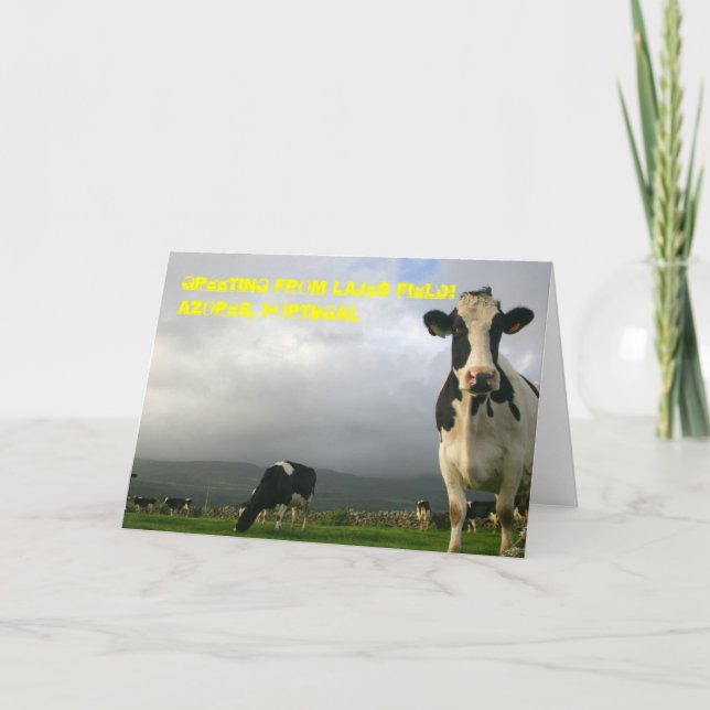 Cartão 10,000 Cows Can't be Wrong Greeting Card (Frente)