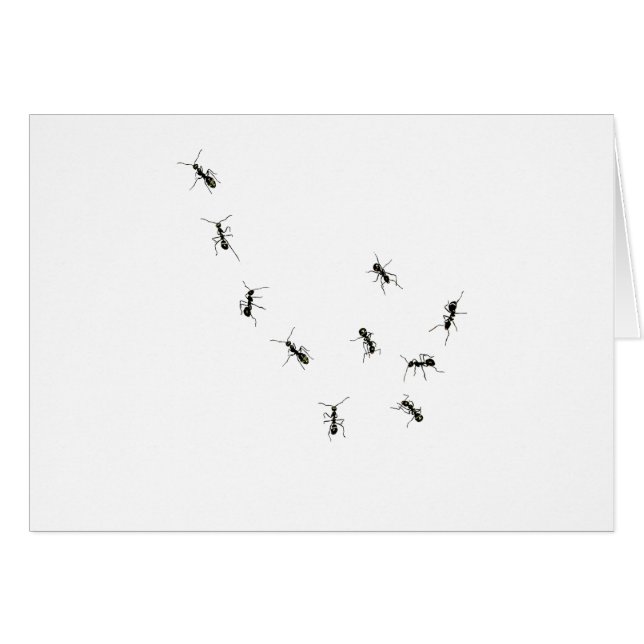 Cartão 10 formigas (Frente Horizontal)