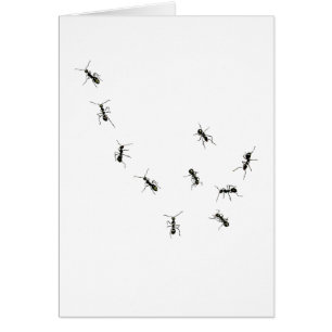 Cartão 10 formigas