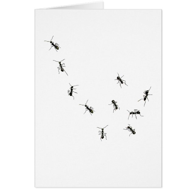 Cartão 10 formigas (Frente)