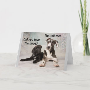 Cartão **11 ANIVERSÁRIO** DESEJA A Placa "VOCÊ"