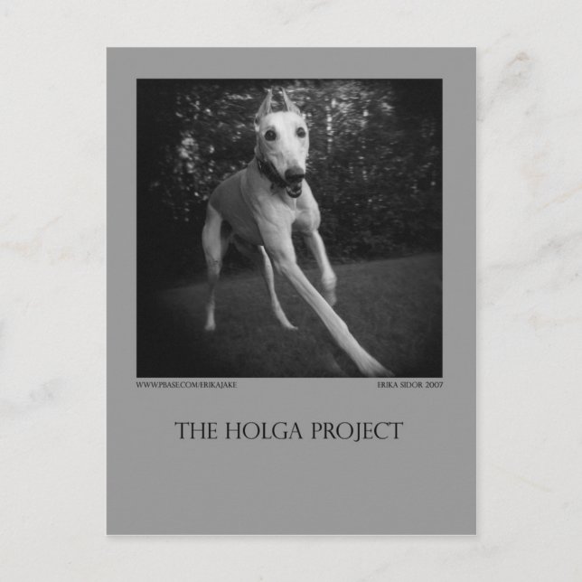 Cartão 11 do parque do cão (Frente)