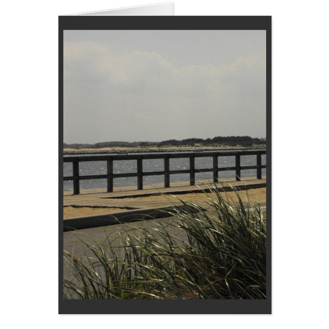 Cartão ~ 11 do verão (Frente)