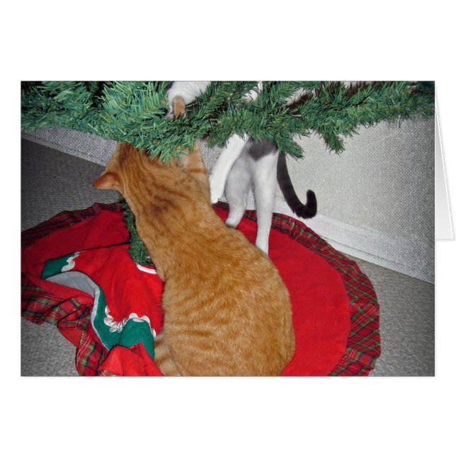 Cartão 12 Cats a-Climbing (Frente Horizontal)