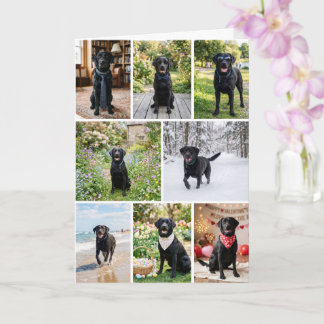 Cartão 12 Colagem de Fotos Personalizadas