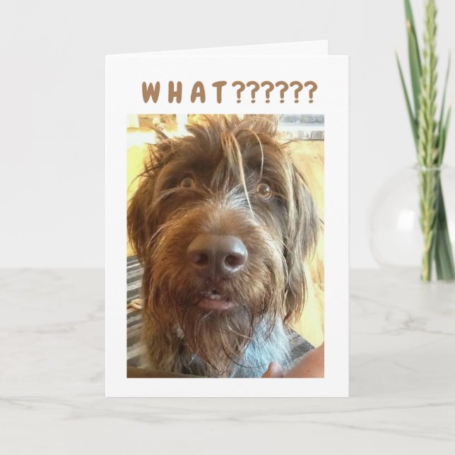 Cartão *13th BIRTHDAY* FROM GRIFFON Card (Frente)