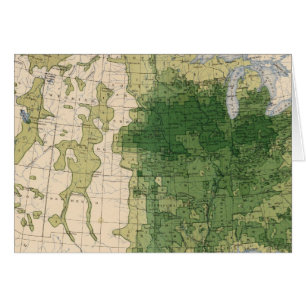 Cartão 146 Sorriso de suíno/metro quadrado