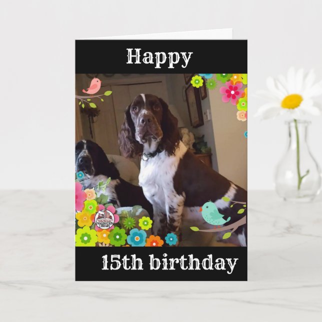 CARTÃO **15 ANIVERSÁRIO É A PLACA "MAIS RESFRIADA" DE UM  (Planta pequena)