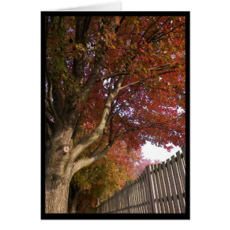 Cartão ~ 15 do outono