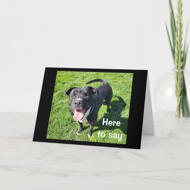 CARTÃO **16º ANIVERSÁRIO** HUMOR DE UM CÃO LEGAL (Frente)