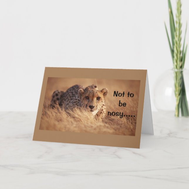 CARTÃO **16º ANIVERSÁRIO** HUMOR DE UM GATO DE BOBO (Frente)