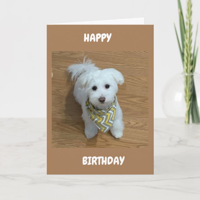 CARTÃO ***16º ANIVERSÁRIO****UM NOVO DRIVER EM BREVE! (Frente)