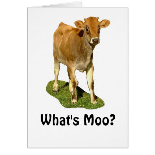 Cartão 1607513, O que é Moo?