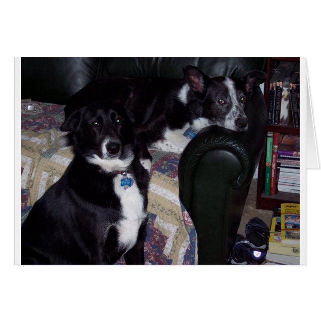 CARTÃO 1642 (Frente Horizontal)