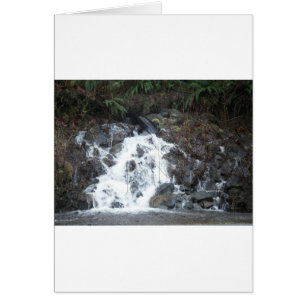 Cartão 16 de janeiro (170)