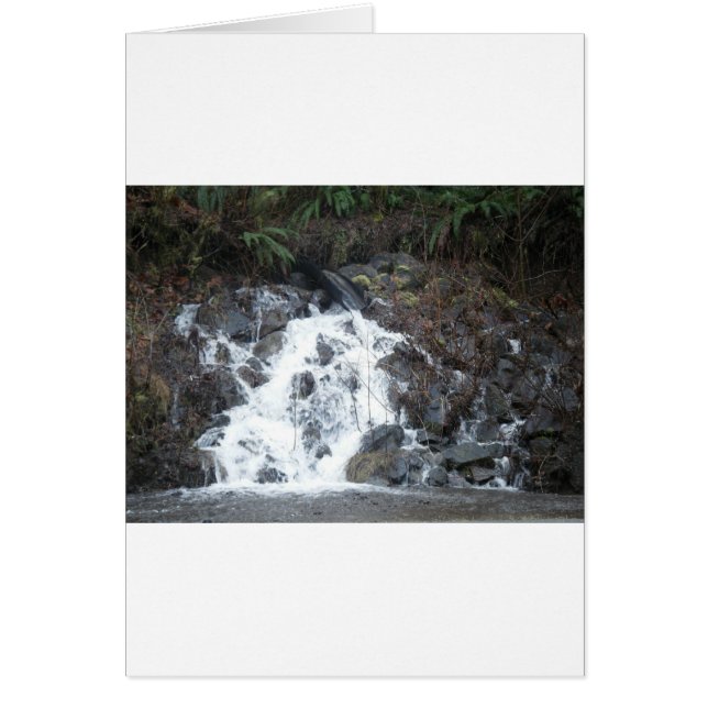 Cartão 16 de Janeiro (170) (Frente)