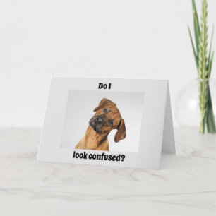 CARTÃO "16" DIZ UM ANIVERSÁRIO IMPORTANTE!