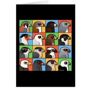 Cartão 16 perfis norte-americanos do raptor