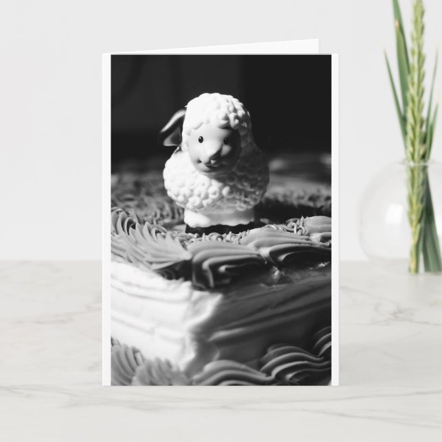 Cartão 16th Sheep Birthday (Frente)