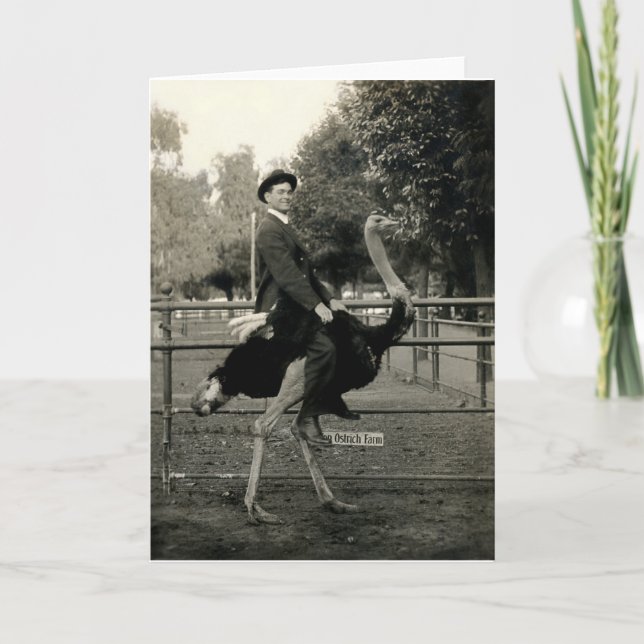 Cartão 1910 Ostrich Riding (Frente)