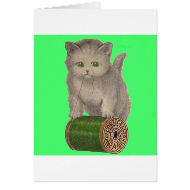 Cartão 1930 Gato branco de Corticelli (Frente)