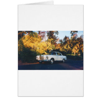 Cartão 1965 Mercedes-Benz 220SEb coupe