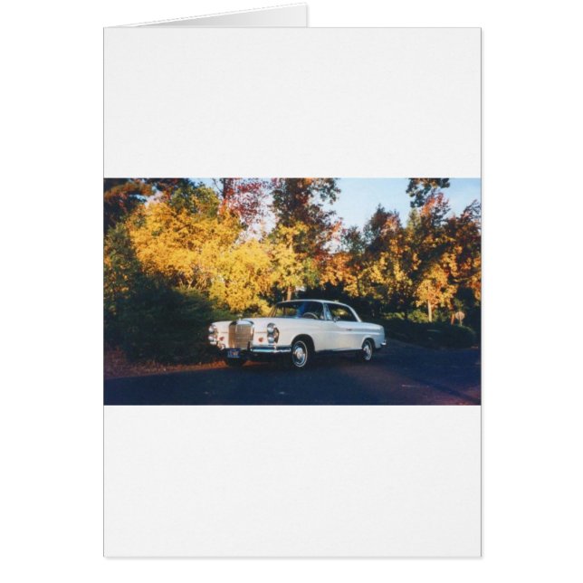 Cartão 1965 Mercedes-Benz 220SEb coupe (Frente)