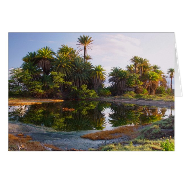 Cartão 1.000.000 Anos C. (Frente Horizontal)