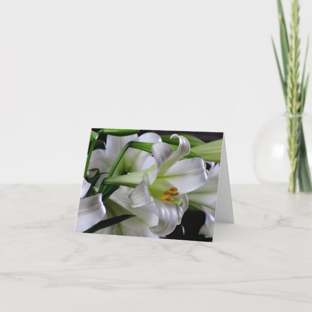 Cartão #1 00678900 da páscoa (Frente)