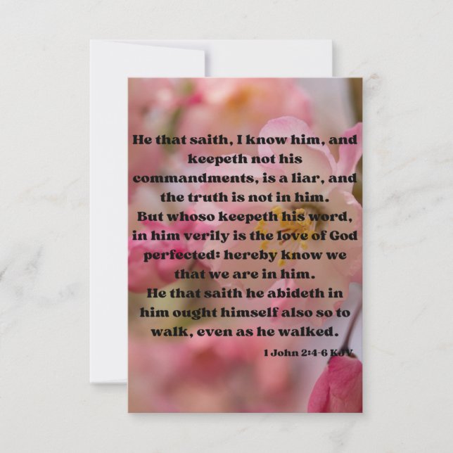 Cartão 1 Saudação Pic de Escritura de Bíblia do John 2:4- (Frente)