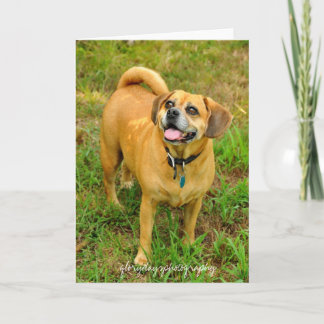 Cartão 1HCD_3930, glorydaysphotography