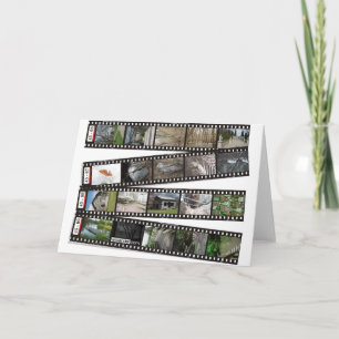 Cartão 2003-04 da tira do filme