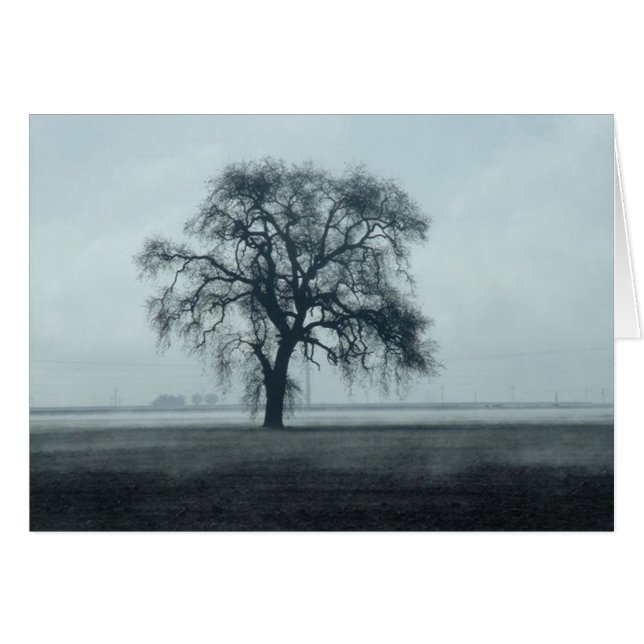 Cartão 2004February 260 (Frente Horizontal)