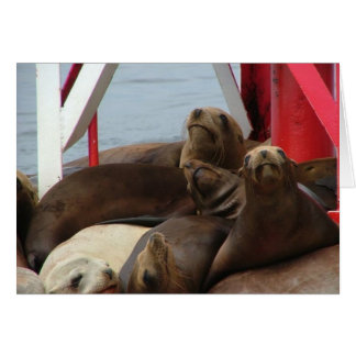 Cartão 2005 agosto 089